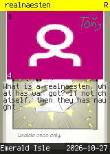 realnaesten #4