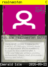 realnaesten