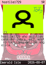 hostile1729 #13