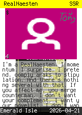 RealNaesten #4