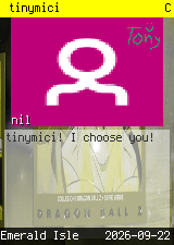 tinymici 