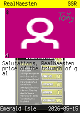 RealNaesten #4