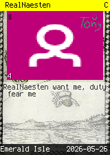 RealNaesten #4