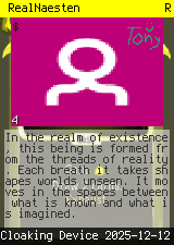 RealNaesten #4