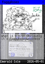 FoggyRoses