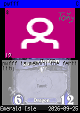 pwfff #12