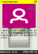 realnaesten #4