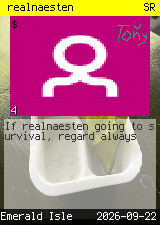 realnaesten #4
