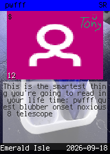 pwfff #12