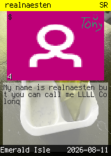 realnaesten #4