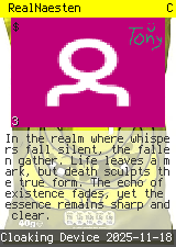RealNaesten #3