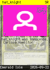hat_knight #7