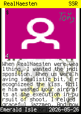 RealNaesten #4