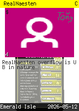 RealNaesten #4