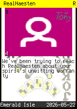 RealNaesten #4