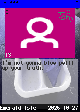 pwfff #13