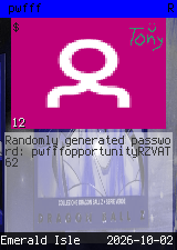pwfff #12