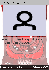 sam_cant_code 