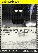 painpapi5000 