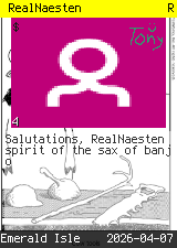 RealNaesten #4