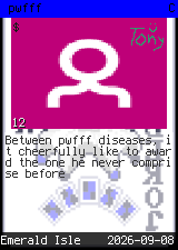 pwfff #12
