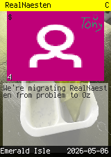 RealNaesten #4