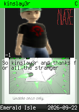 kinslay3r 
