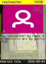 realnaesten #4