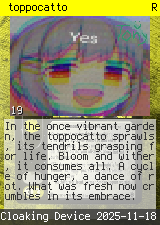 toppocatto