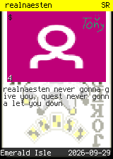 realnaesten #4