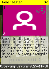 RealNaesten #3