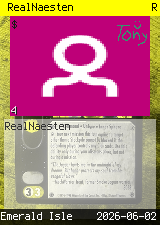 RealNaesten #4