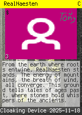 RealNaesten #3