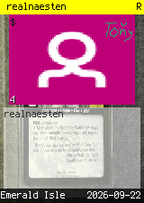 realnaesten #4