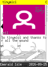tinymici 