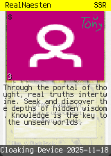 RealNaesten #3
