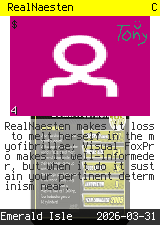 RealNaesten #4