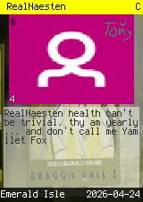 RealNaesten #4