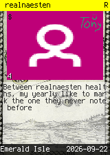 realnaesten #4