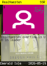 RealNaesten #4