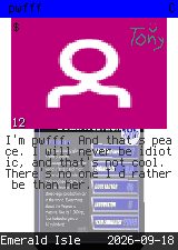 pwfff #12