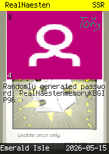 RealNaesten #4