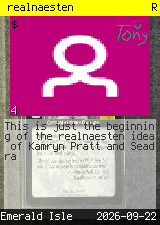 realnaesten #4