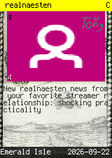 realnaesten #4