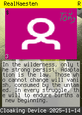 RealNaesten #3