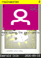 realnaesten #4
