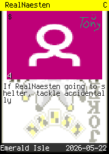 RealNaesten #4
