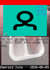 penguin_operat0r #43