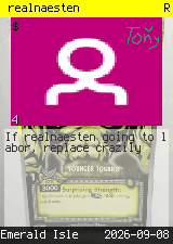 realnaesten #4