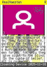 RealNaesten #3